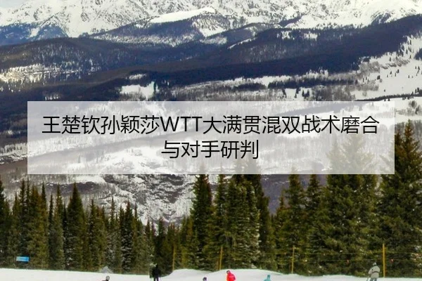 wang-chu-qin-sun-ying-sha-da-man-guan-hun-shuang-zhan-shu-mo-he-yu-dui-shou-yan-pan-3-221.jpg